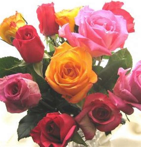 Bouquet di rose | Scaricare foto gratis