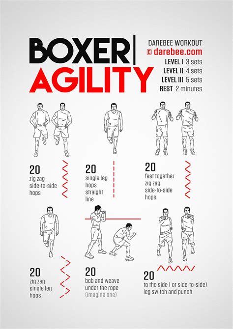Boxer Agility Workout Concentration   Lower Body | Boxing ...