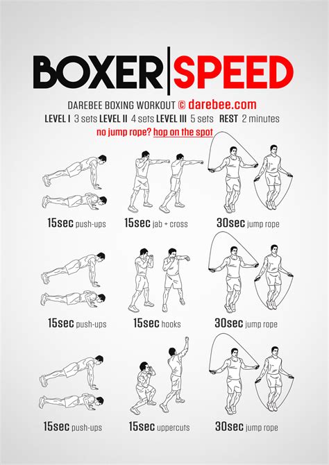 Boxer Speed Workout