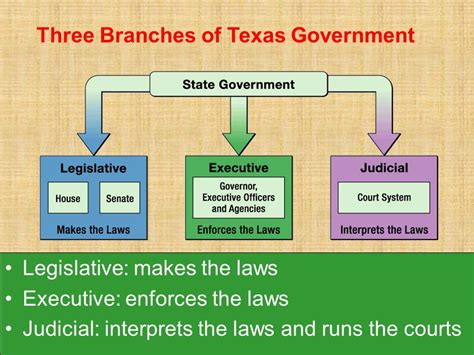 Branches of Government   Mr. E