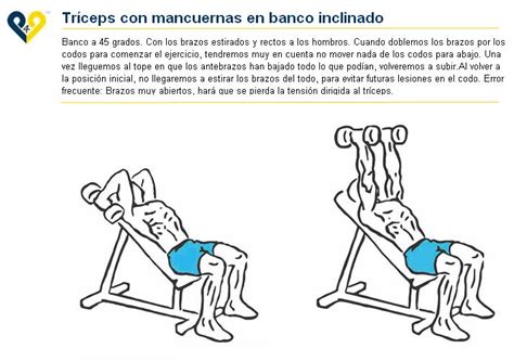 Brazo – Triceps con mancuernas en banco inclinado | iNetWorks