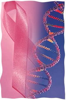 Breast Cancer Genetics and the Jewish Woman   Genetics ...