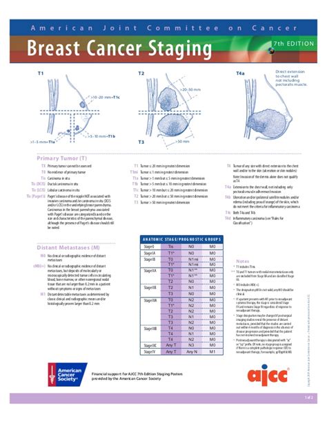 Breast Cancer Staging AJCC