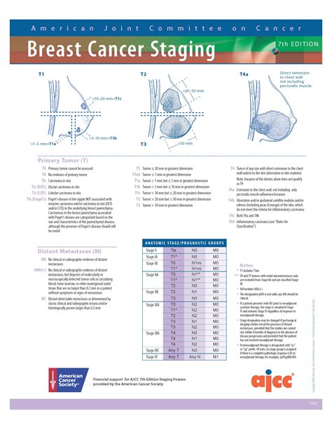 Breast Cancer Staging on Pinterest | Lymph Nodes, Breast ...