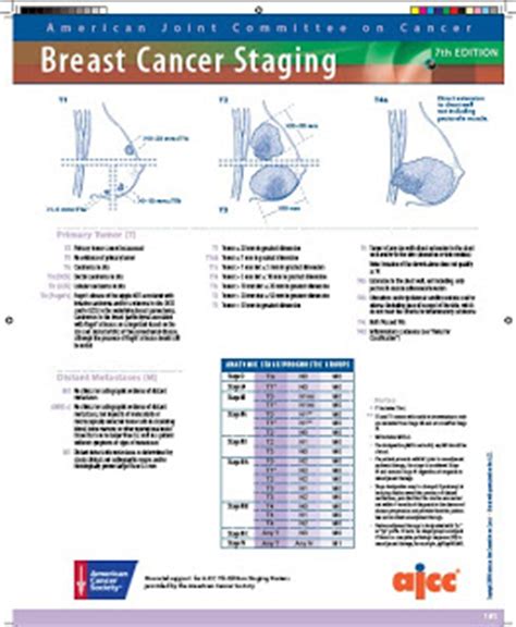 Breast Cancer Staging   PDF Document | 200 + Free Medical ...