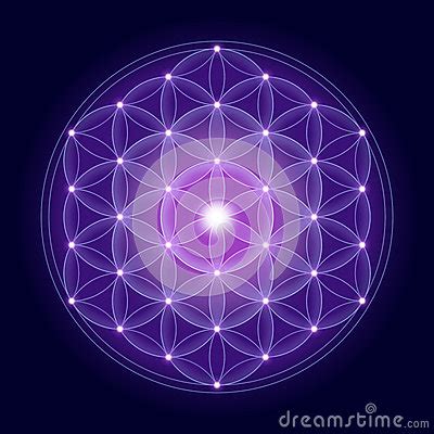 Bright Flower Of Life With Stars Stock Illustration ...