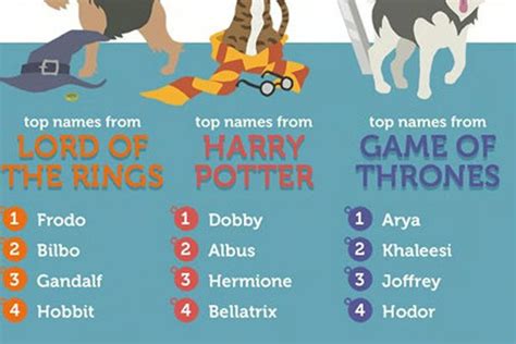 Britain s most popular pets name revealed   and it shows ...