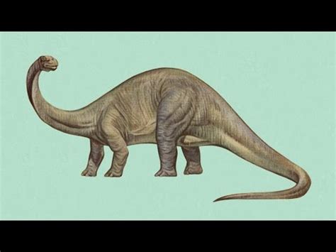 Brontosaurus | Enciclopedia sobre Dinosaurios   YouTube