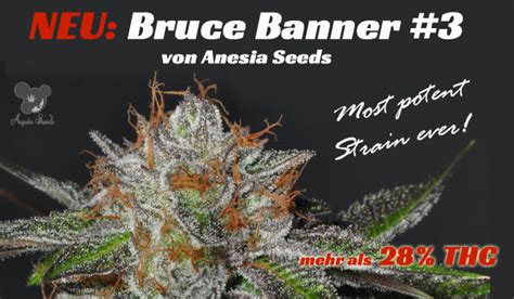 Bruce Banner 3 By Anesia Seeds SeedFinder Info De Variedad ...