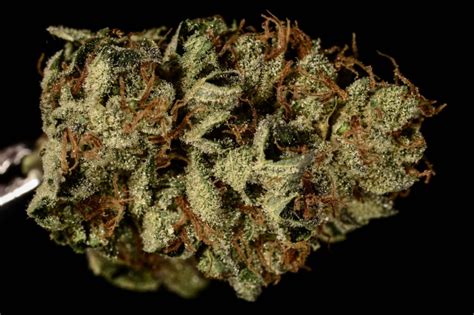 Bruce Banner #3  marijuana review    The Cannabist