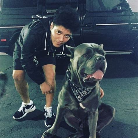 Bruno Mars Is A Dog Lover | Glitter Magazine