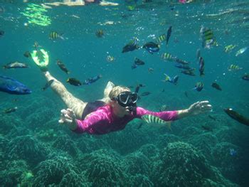 Buceo Snorkeling | Gran Canaria Boat Trips