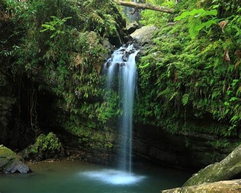 Bucket List: Puerto Rico s Secret Waterfall ...