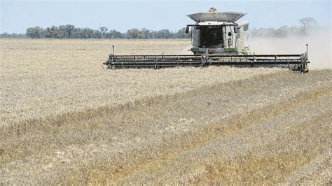 Bumpy road for CBOT wheat | The Land
