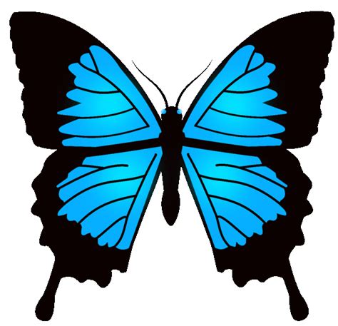 Butterfly animation | OpenGameArt.org