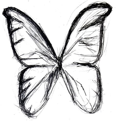 Butterfly Drawings In Pencil   ClipArt Best