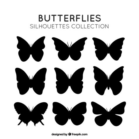 Butterfly Vectors, Photos and PSD files | Free Download