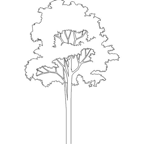 CAD and BIM object   Tree 581   Polantis