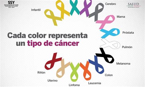 Cada color representa un tipo de cáncer | Servicios de ...