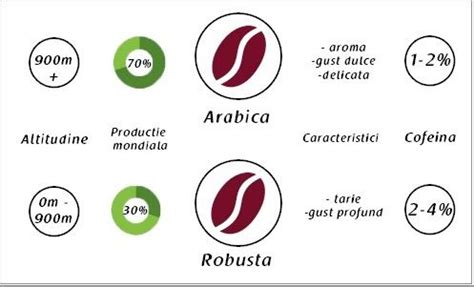 Cafea arabica vs cafea robusta   Blog EspressoCafe.ro