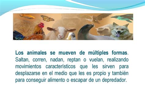 Calaméo FORMA DE DESPLAZAMIENTO DE LOS ANIMALES