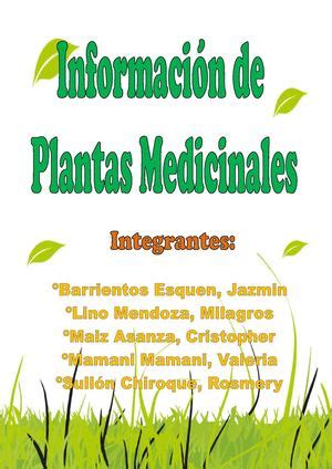 Calaméo Información de Plantas Medicinales