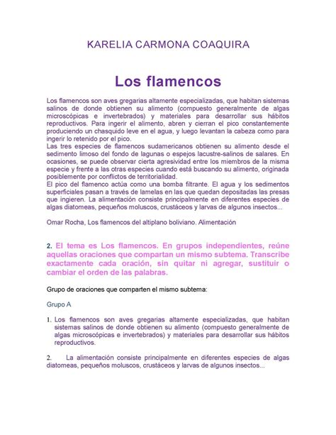 Calaméo   LOS FLAMENCOS