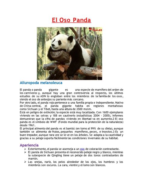 Calaméo   Oso Panda