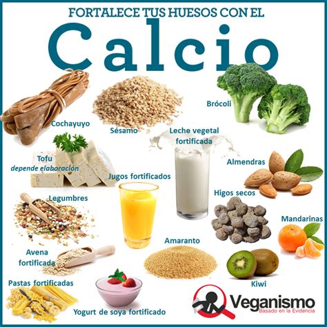 Calcio | Nutrición Vegana – Dieta Vegana, Alimentación y ...