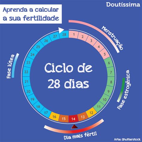 Calculadora de fertilidade indica o seu período fértil