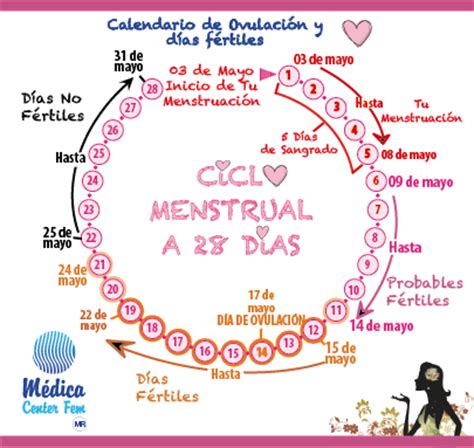 calcular ciclo menstrual : HispaVista Mujer