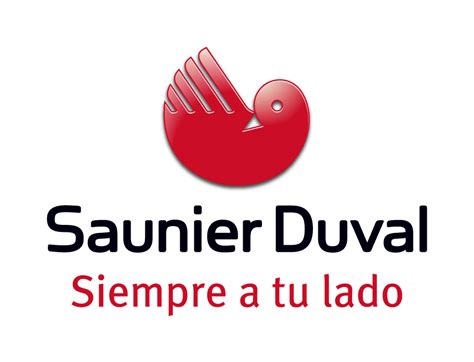 Calderas Saunier Duval en Zaragoza