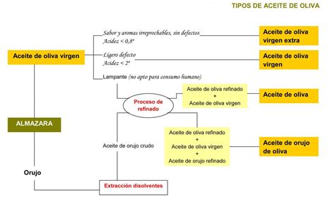 Calidades del aceite | Denominación de Origen DOP Aceite ...