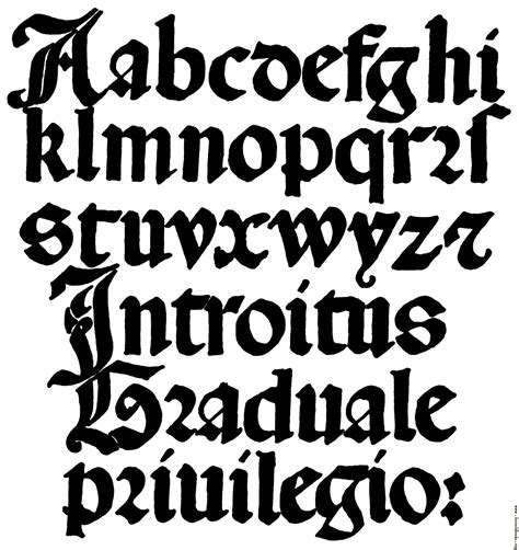 Calligraphy Alphabet : January 2013