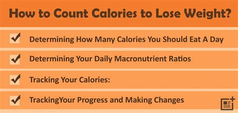 Calorie Counting: How Many Calories Should I Eat To Lose ...