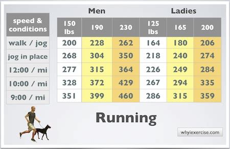 Calories burned during exercise