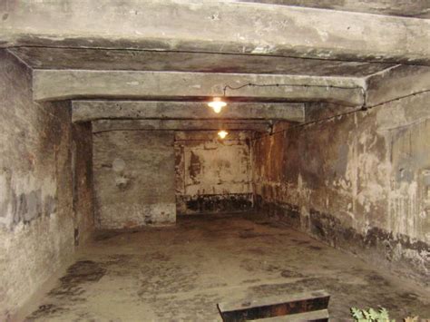 Cámara de gas del campo de exterminio de Auschwitz en ...