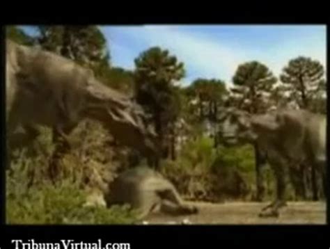 Caminando entre Dinosaurios 6 – Muerte de una dinastía ...