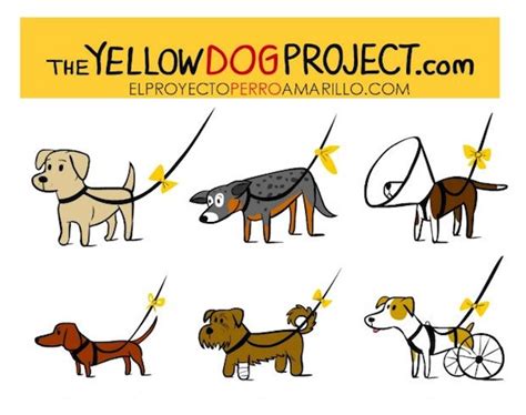Campaña mundial: Un lazo amarillo en la correa de los perros
