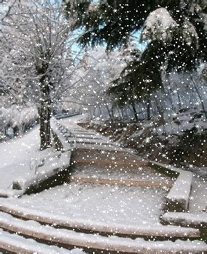 Campirela_: Días de Nieve   El ternerillo