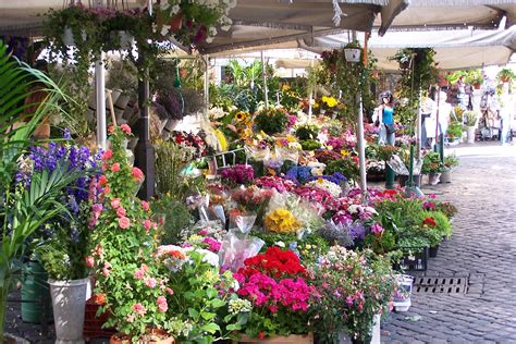 Campo dei Fiori Market: The  Field of Flowers    Rome ...