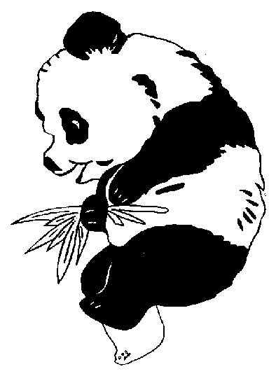 CanalRed > Plantillas para colorear de Animales Osos Panda ...