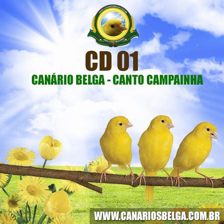 Canário Belga Cantando, Canário Belga Cantador, Canto para ...
