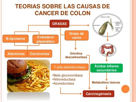 CANCER DE COLON 1