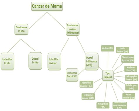 Cáncer de Mama: Entidad Patológica de Biología Heterogénea ...