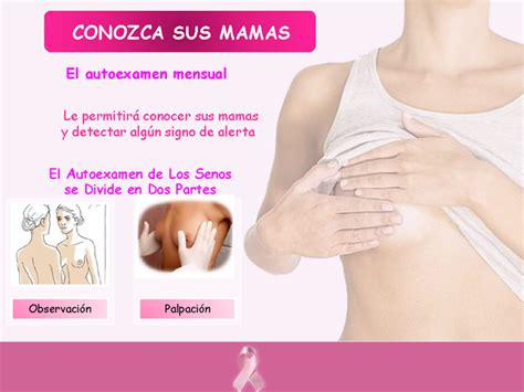 Cáncer de mama   Monografias.com