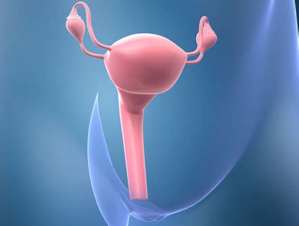 Cáncer de útero