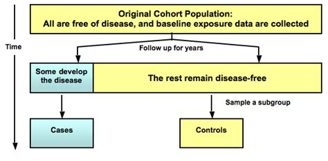 Cáncer Ocupacional » Archivo del Blog » Colangiocarcinoma ...