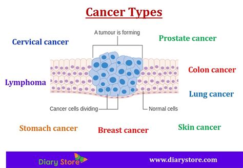 Cancers Types, Causes, Symptoms, Prevention | All Cancers