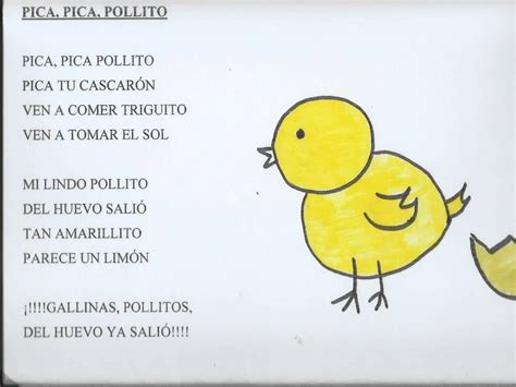 Canción Pica pica pollito | Canciones infantiles
